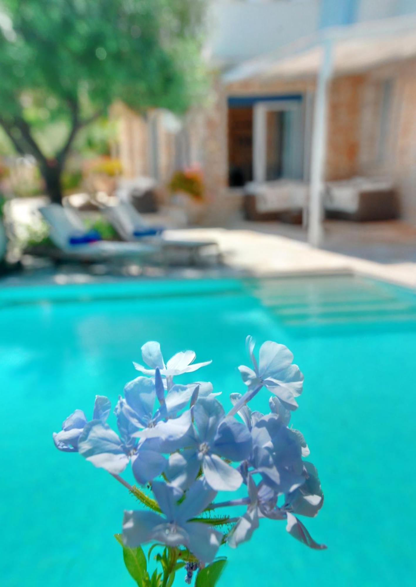 Corfu Luxury Villa